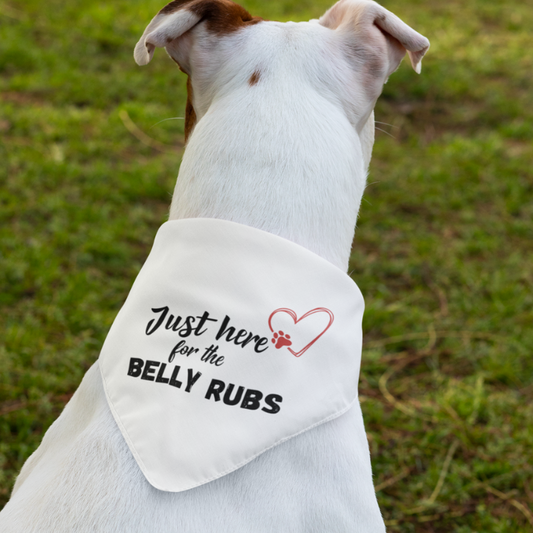 Pet Bandana