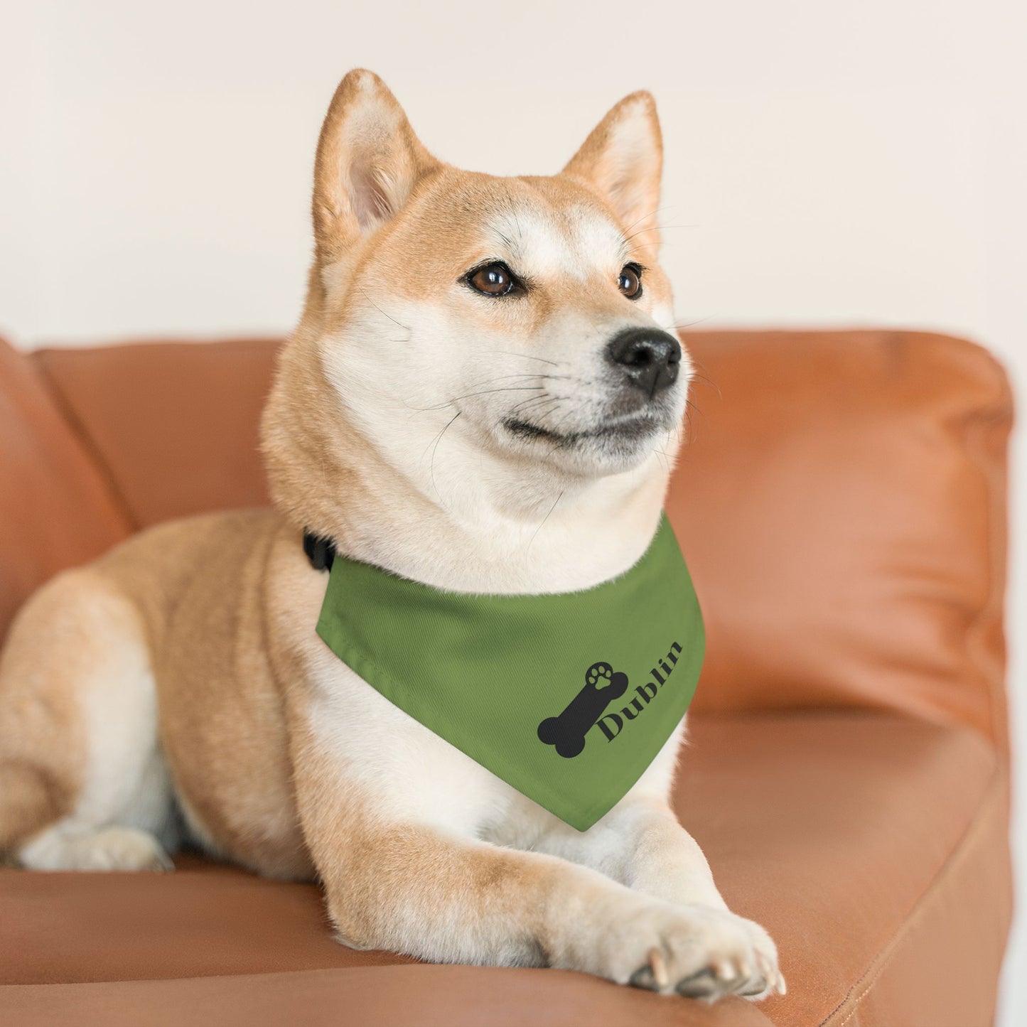 Pet Bandana Personalized