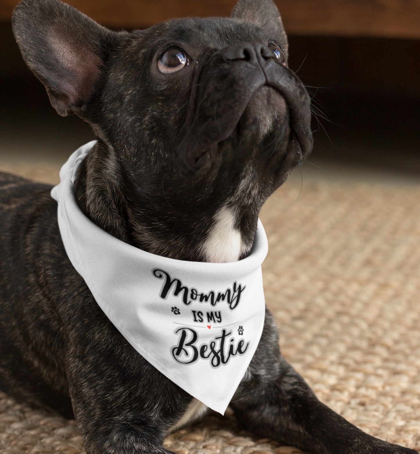 Pet Bandana Collar