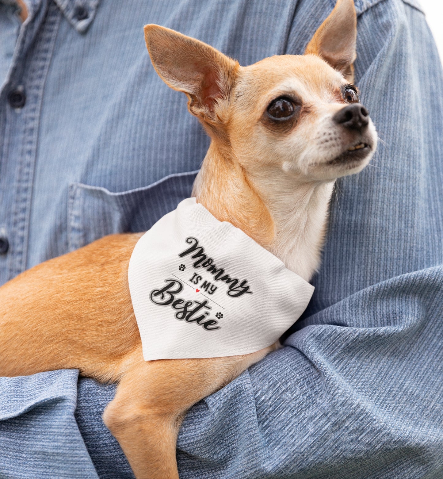 Pet Bandana Collar