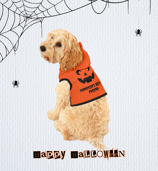 Pumpkin's Best Friend Pet Hoodie