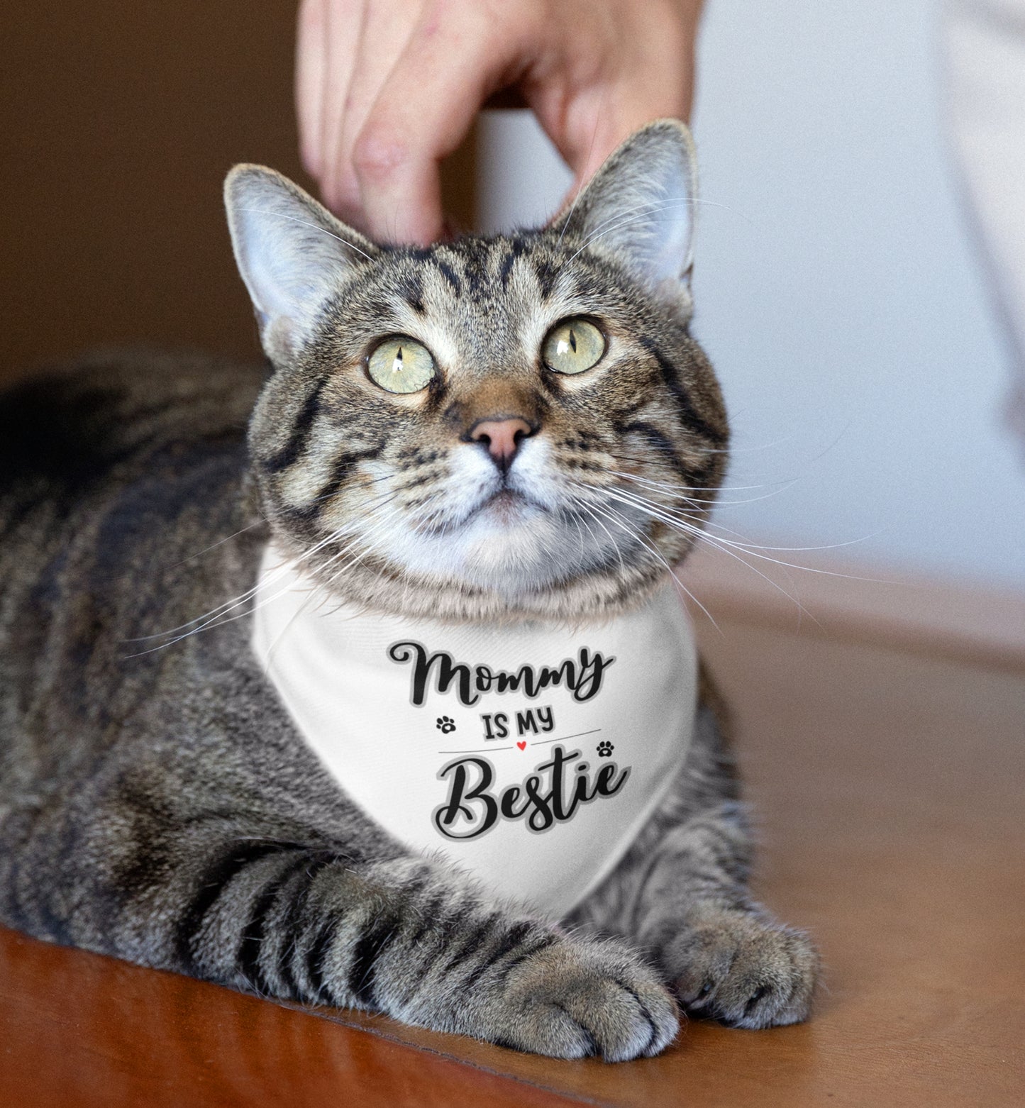 Pet Bandana Collar