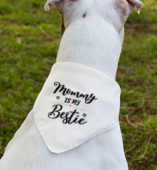 Pet Bandana Collar