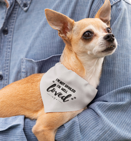 Pet Bandana Collar