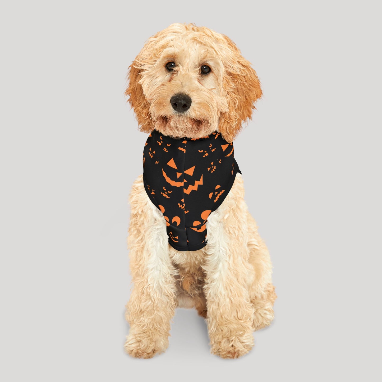 Halloween Pet Hoodie