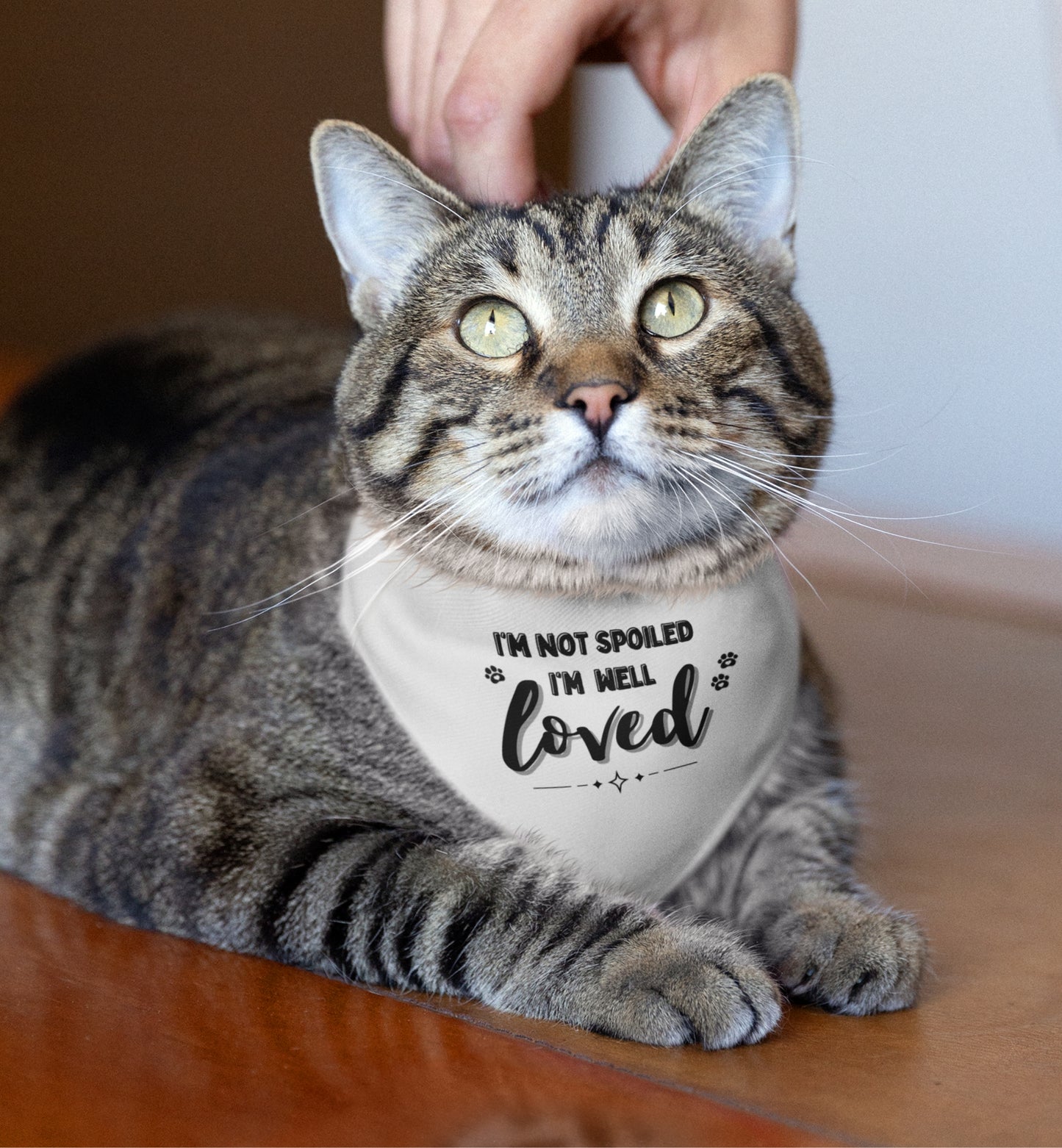 Pet Bandana Collar
