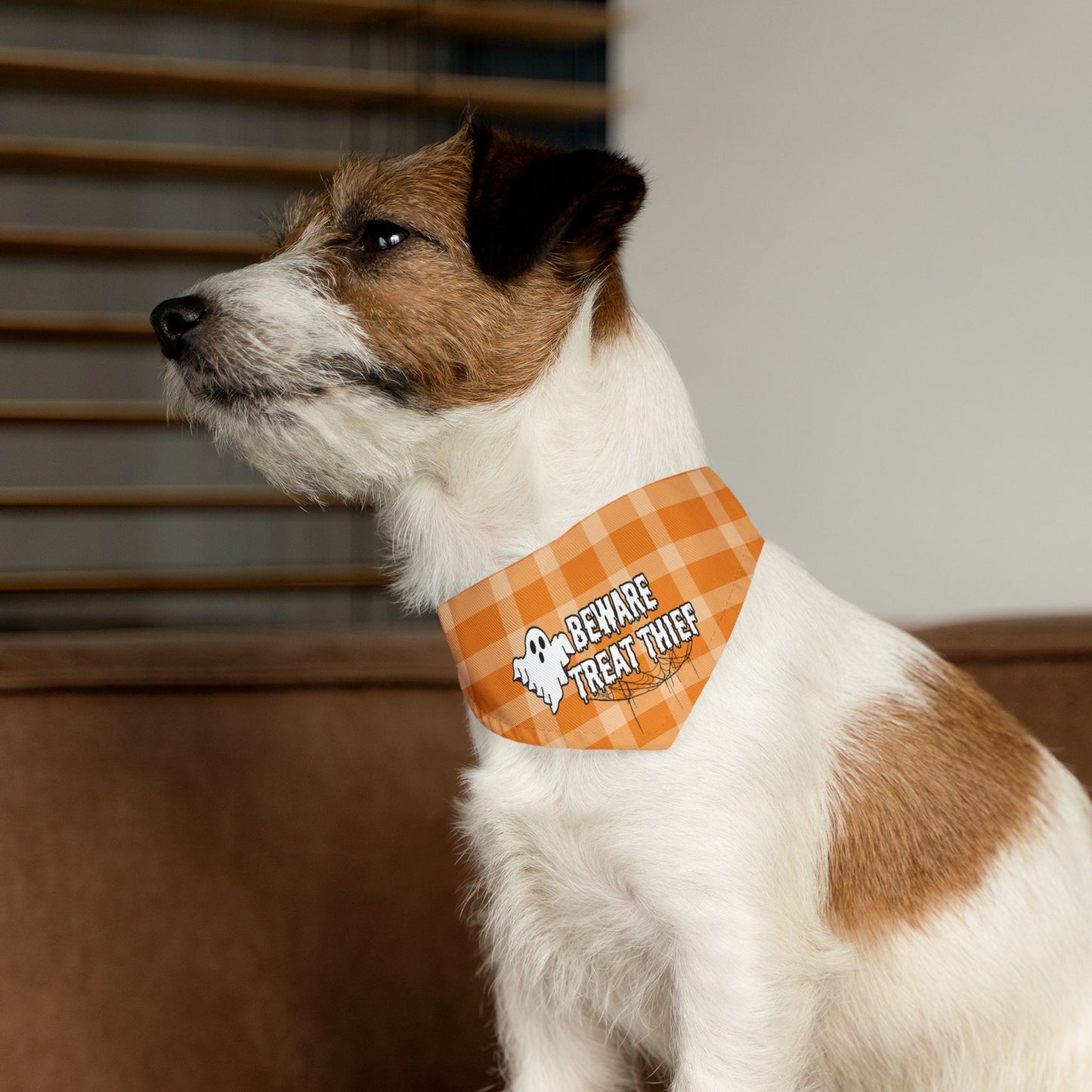 Treat Thief Pet Bandana Collar