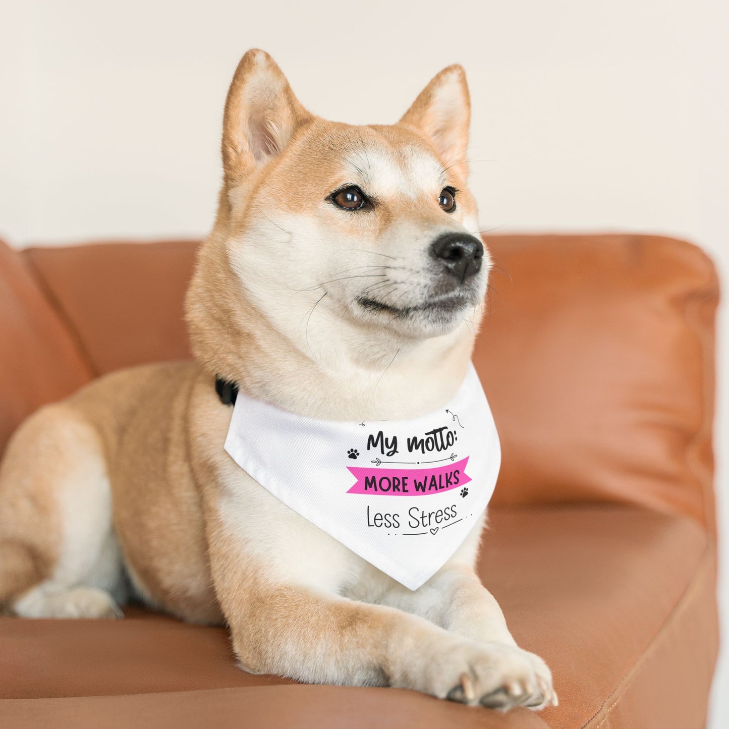 More Walks, Less Stress Bandana Collar