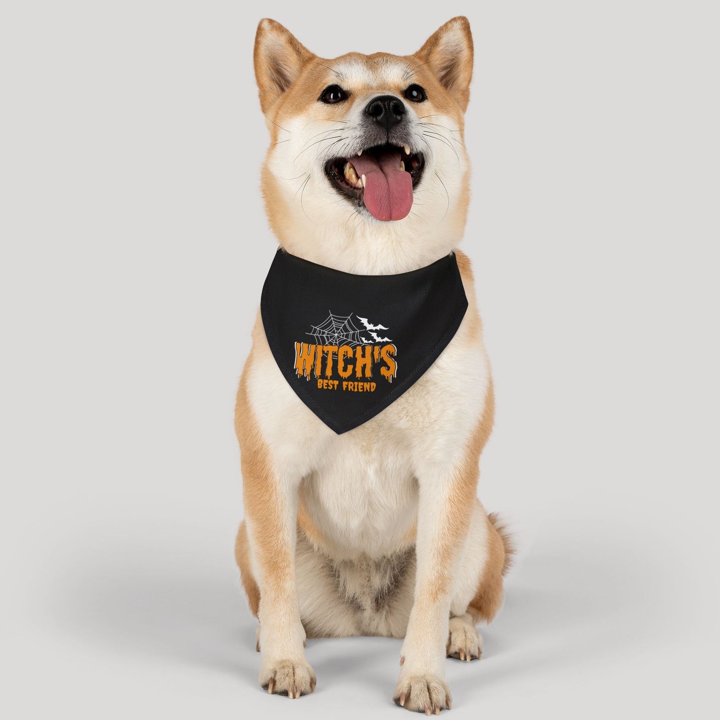 Witch's Best Friend Pet Bandana Collar