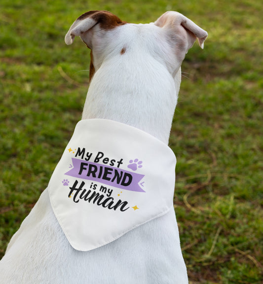 Friend Bandana Collar