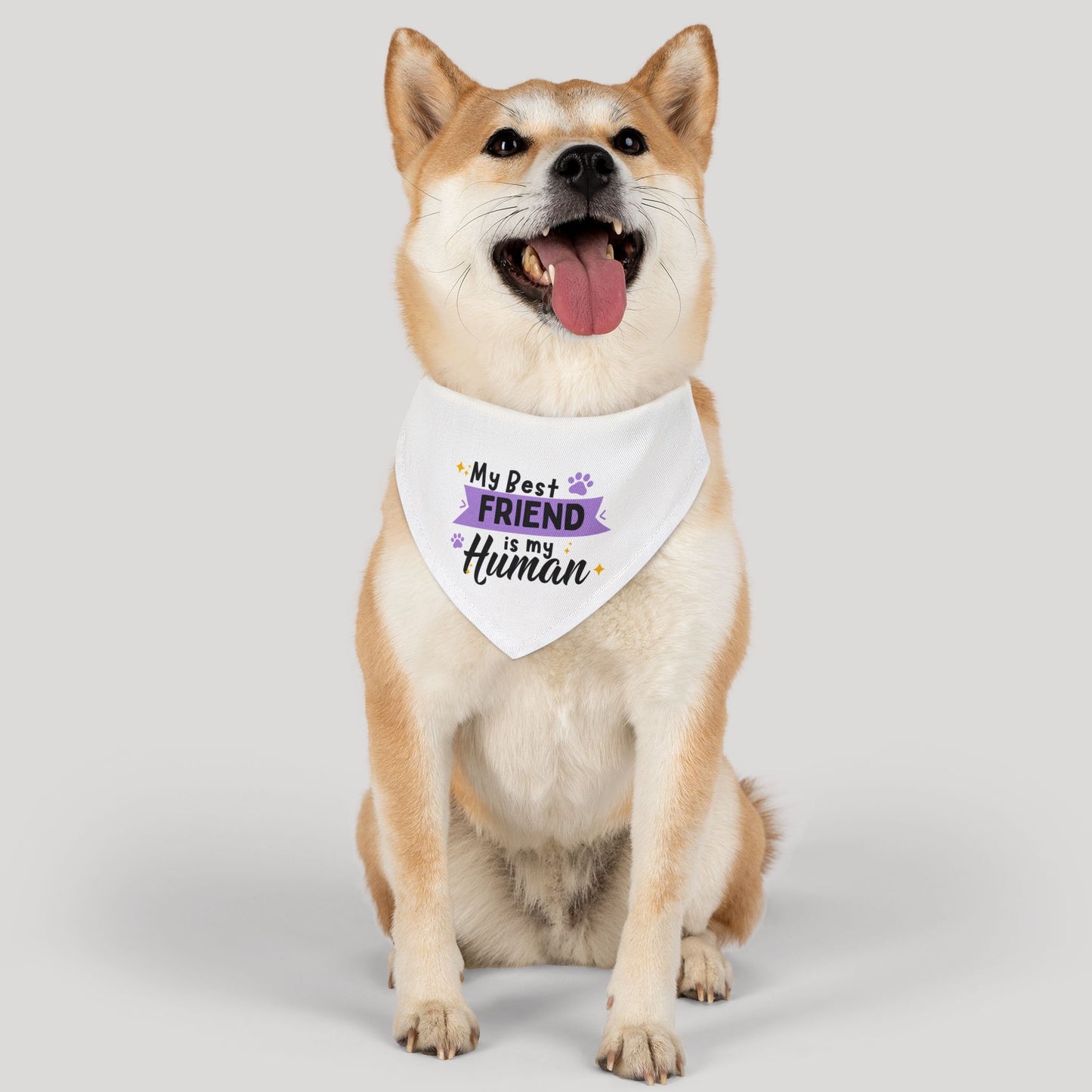 Friend Bandana Collar