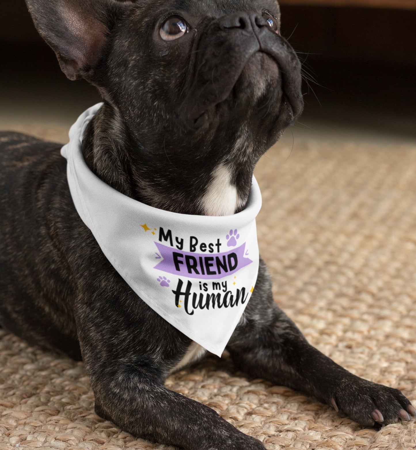 Friend Bandana Collar