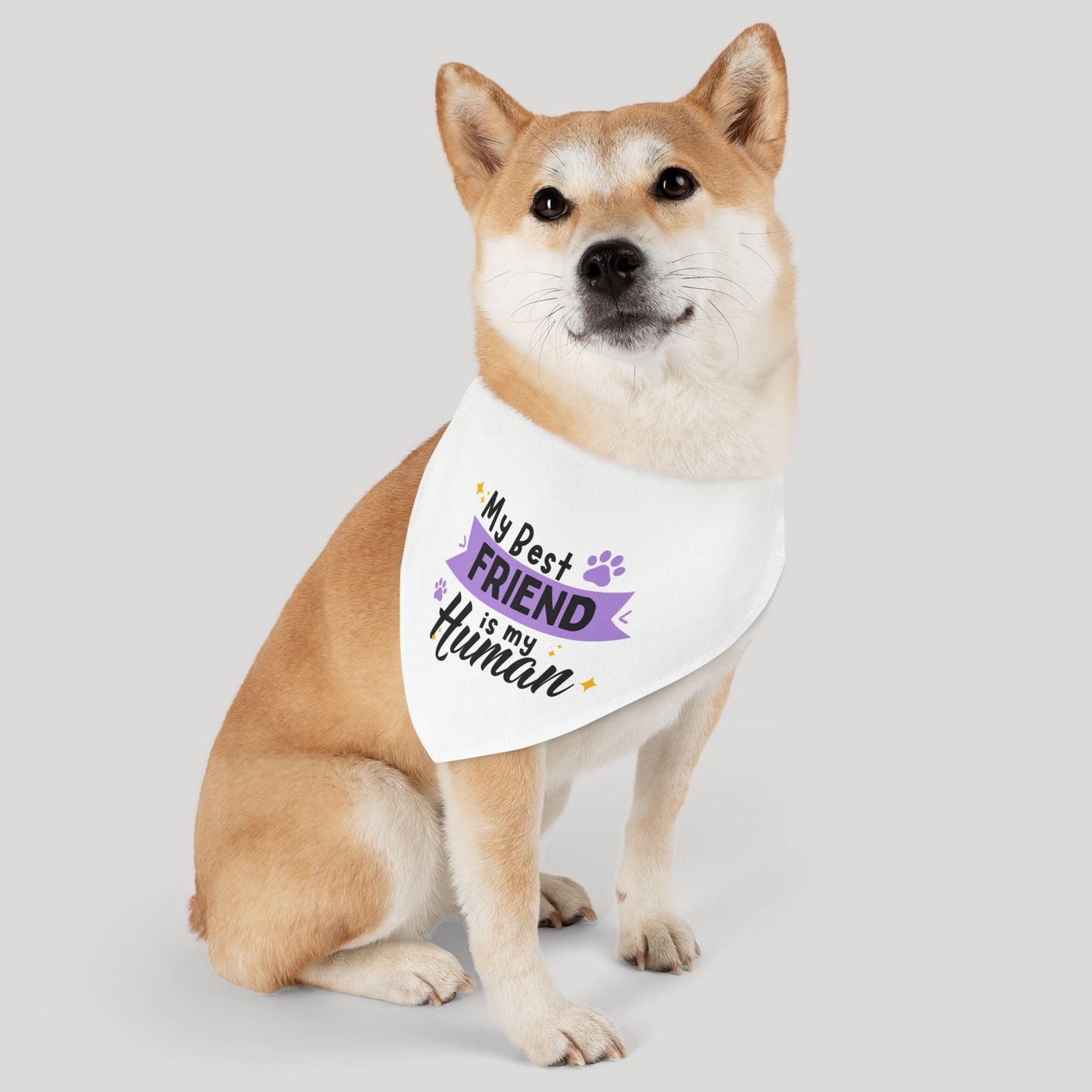 Friend Bandana Collar