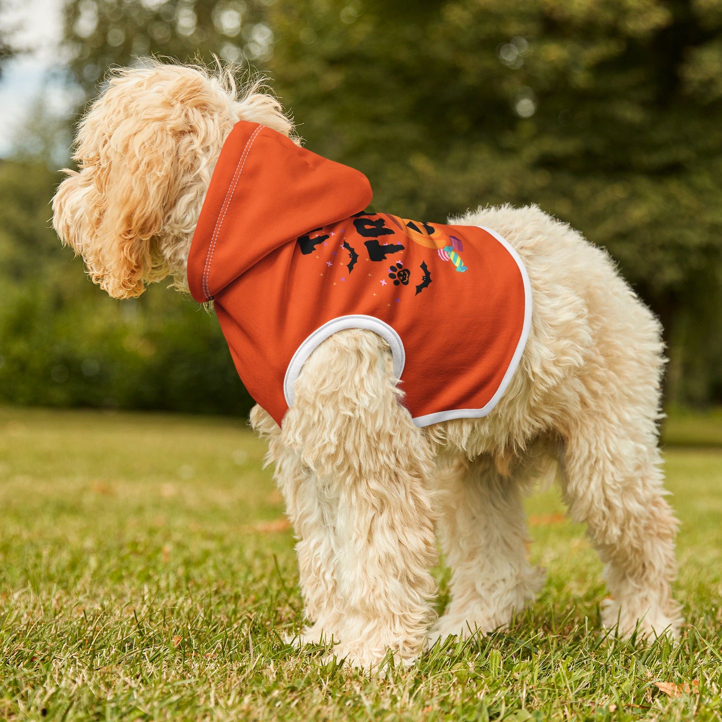 Trick or Treat Pet Hoodie