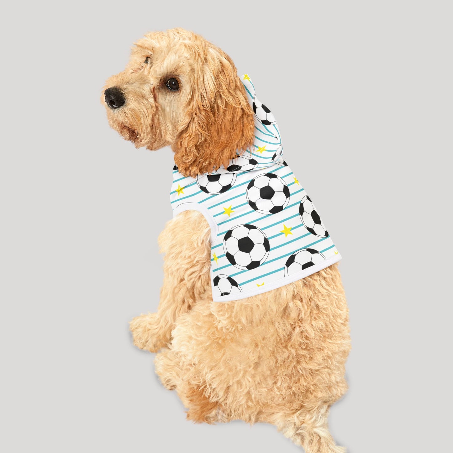 Pet Hoodie