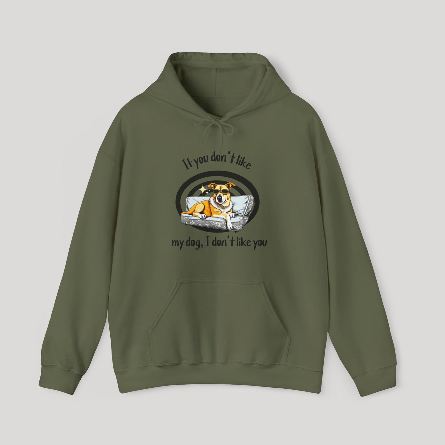 I Don't Like You Hoodie