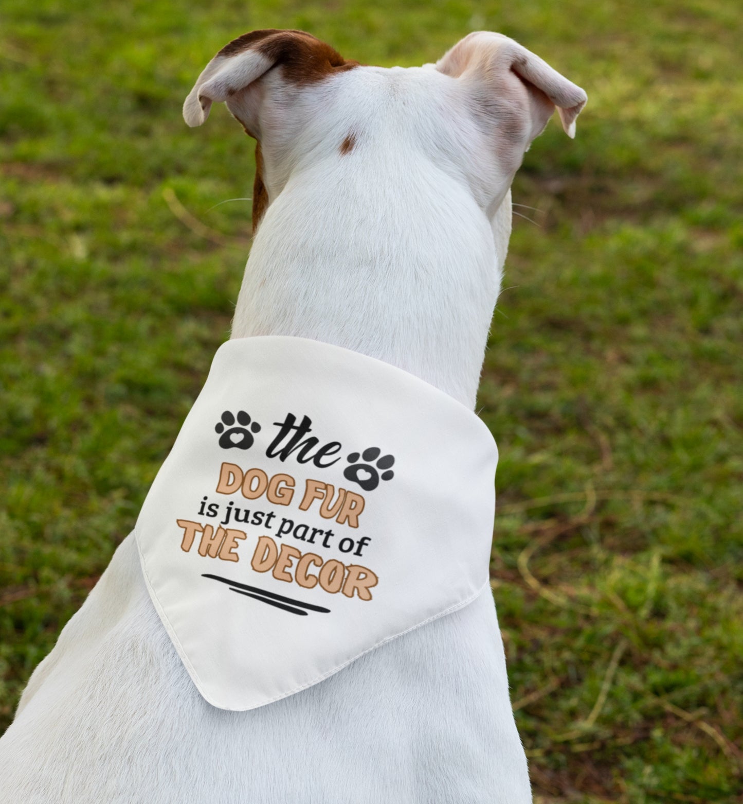 Dog Fur Bandana Collar