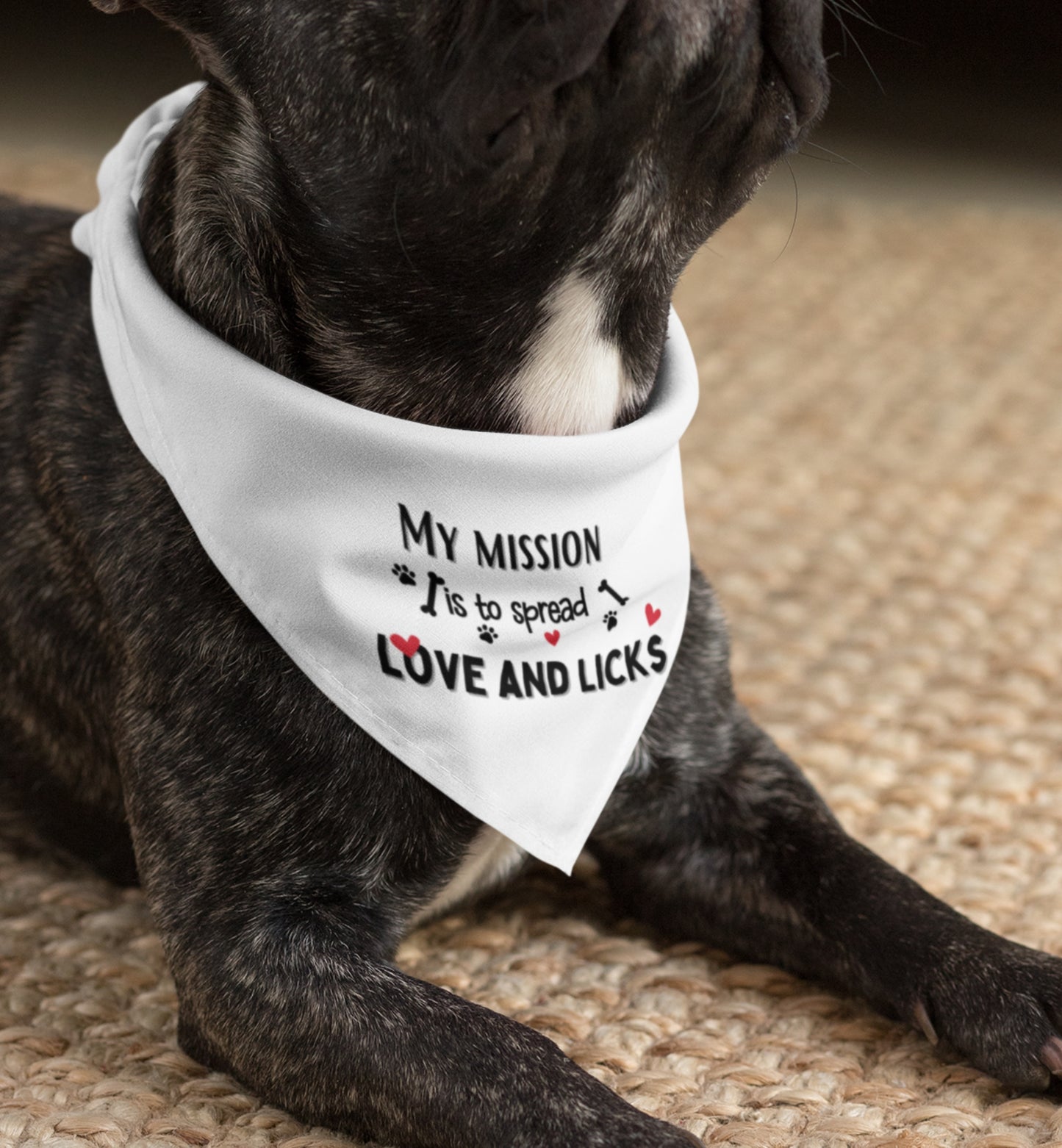 Pet Bandana Collar