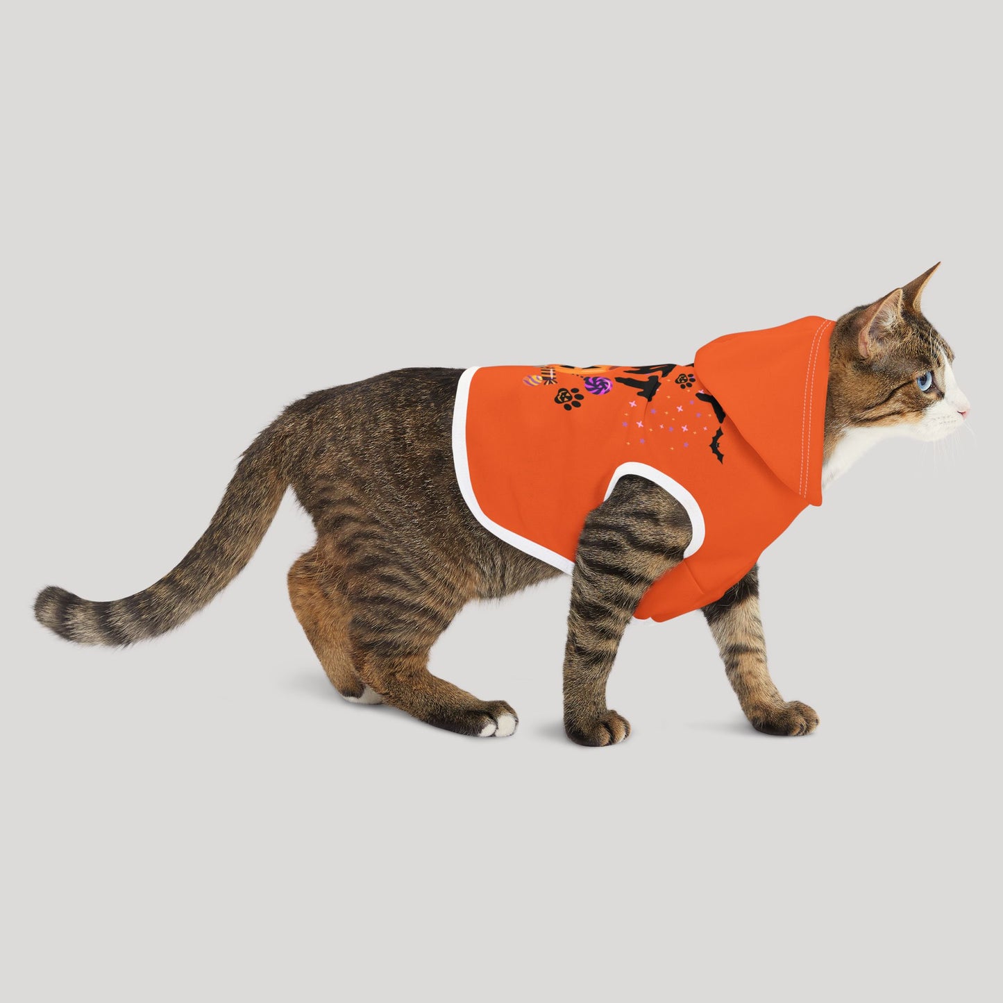 Trick or Treat Pet Hoodie