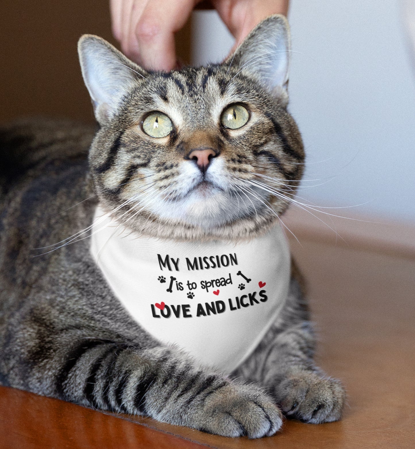 Pet Bandana Collar