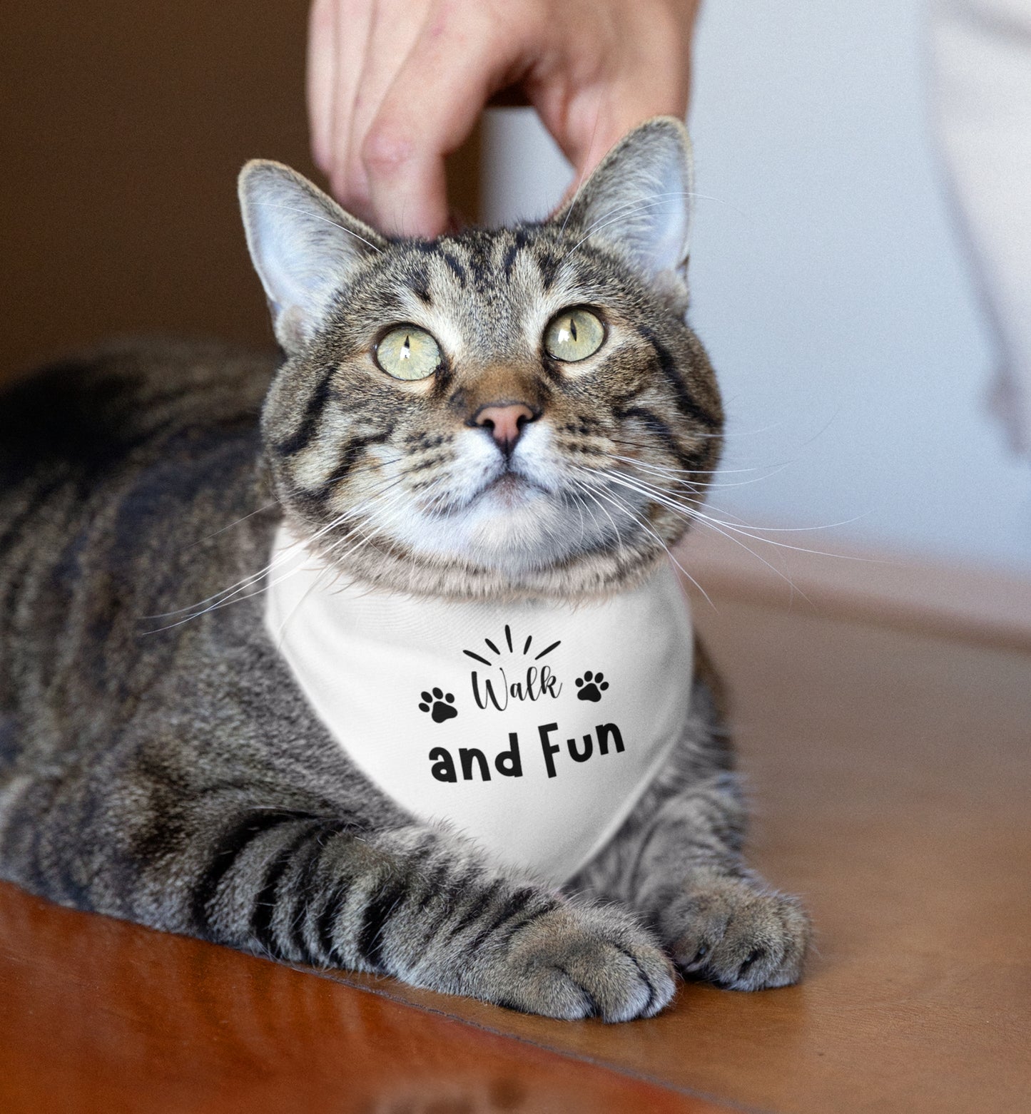 Pet Bandana Collar