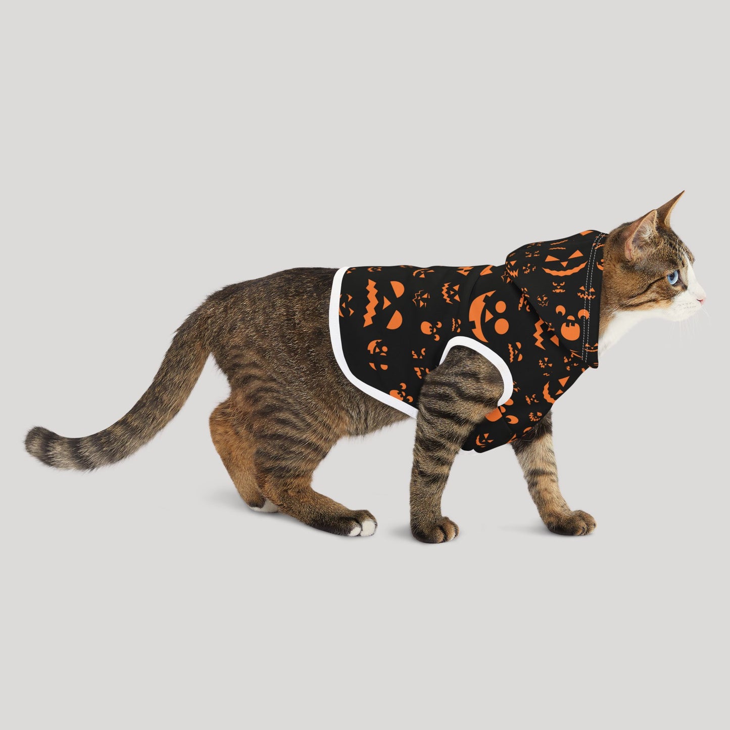 Halloween Pet Hoodie