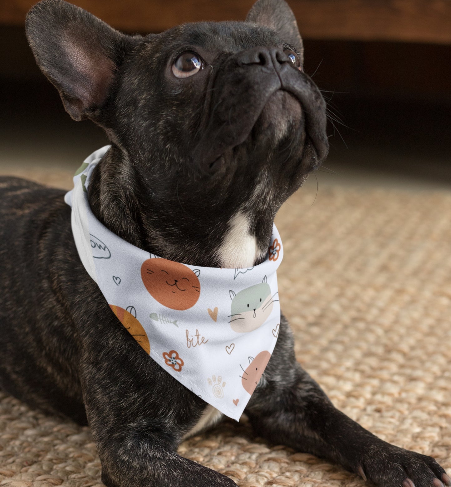 Pet Bandana Collar