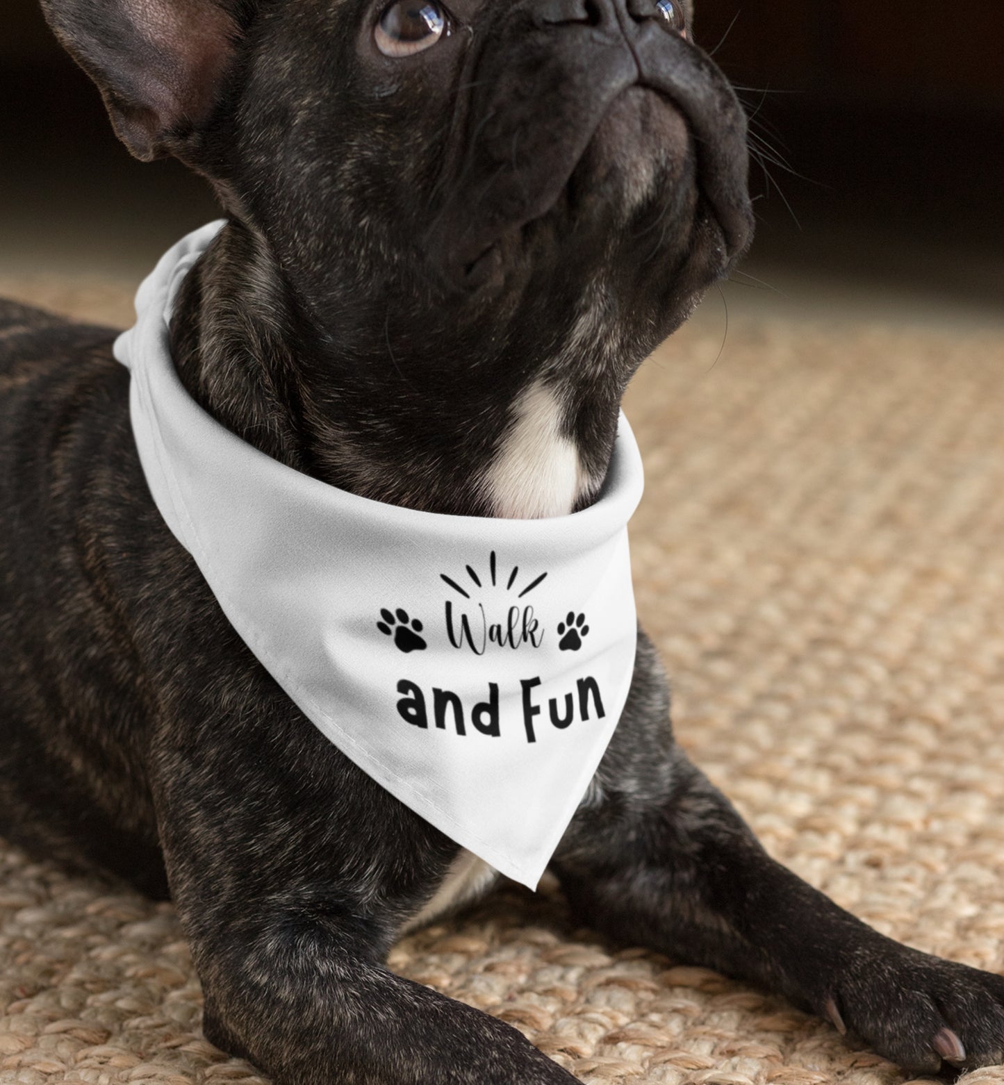 Pet Bandana Collar