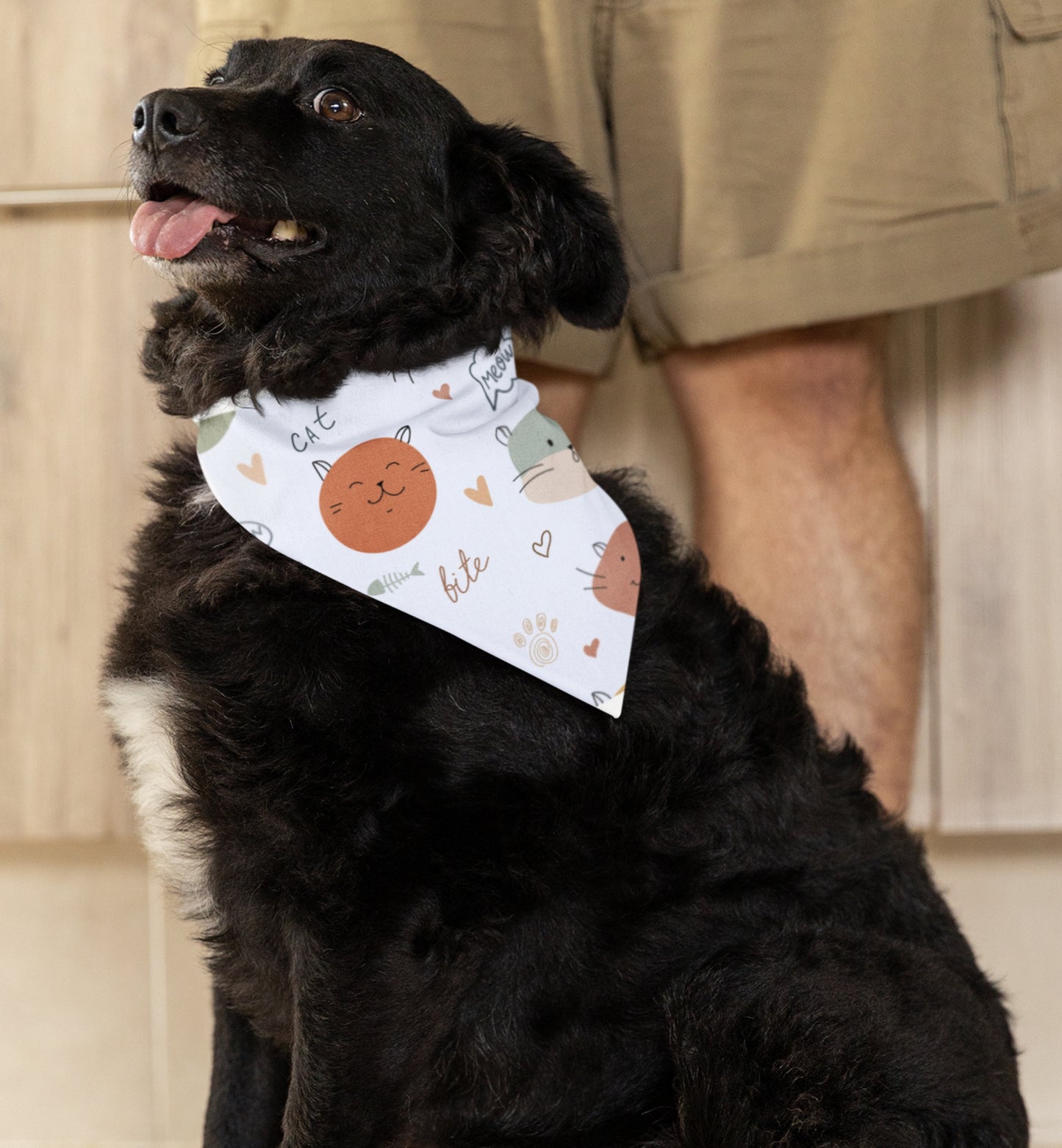 Pet Bandana Collar