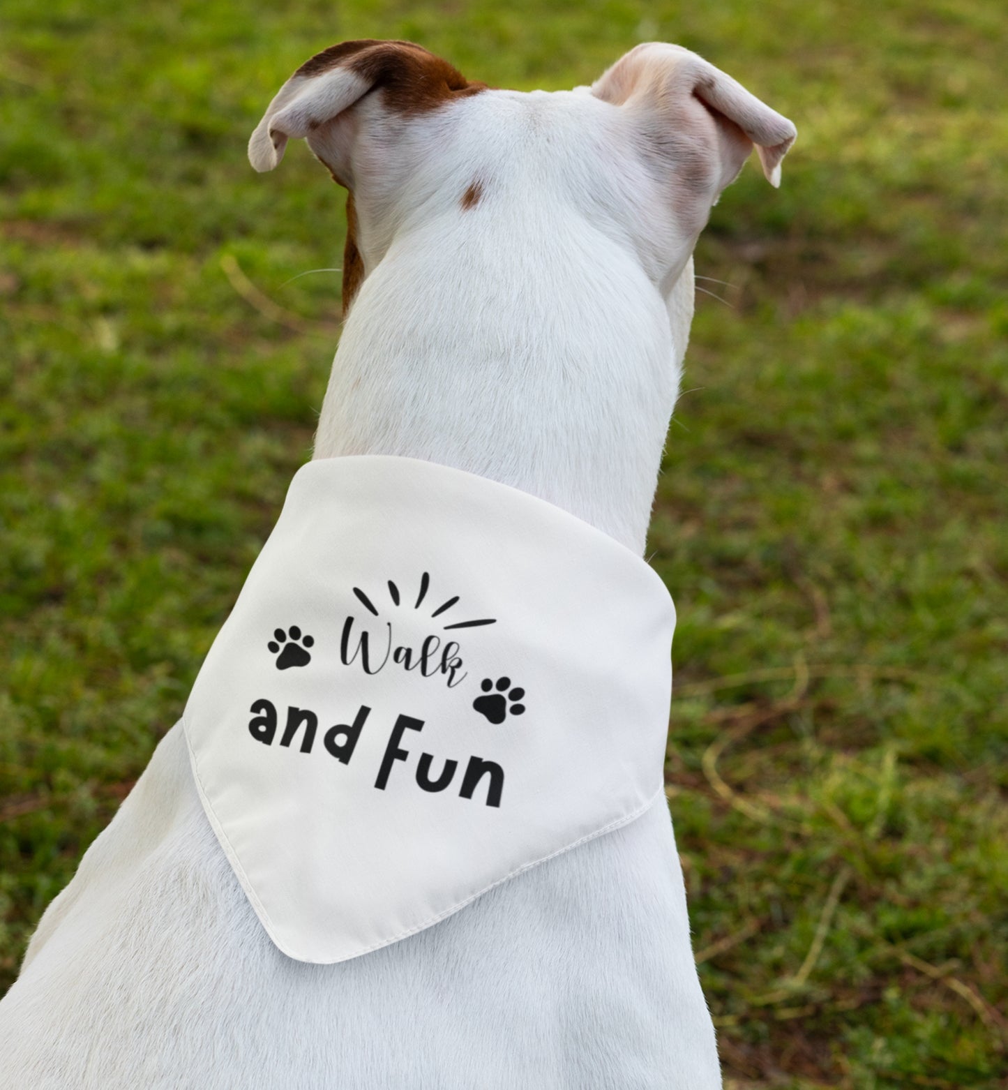 Pet Bandana Collar