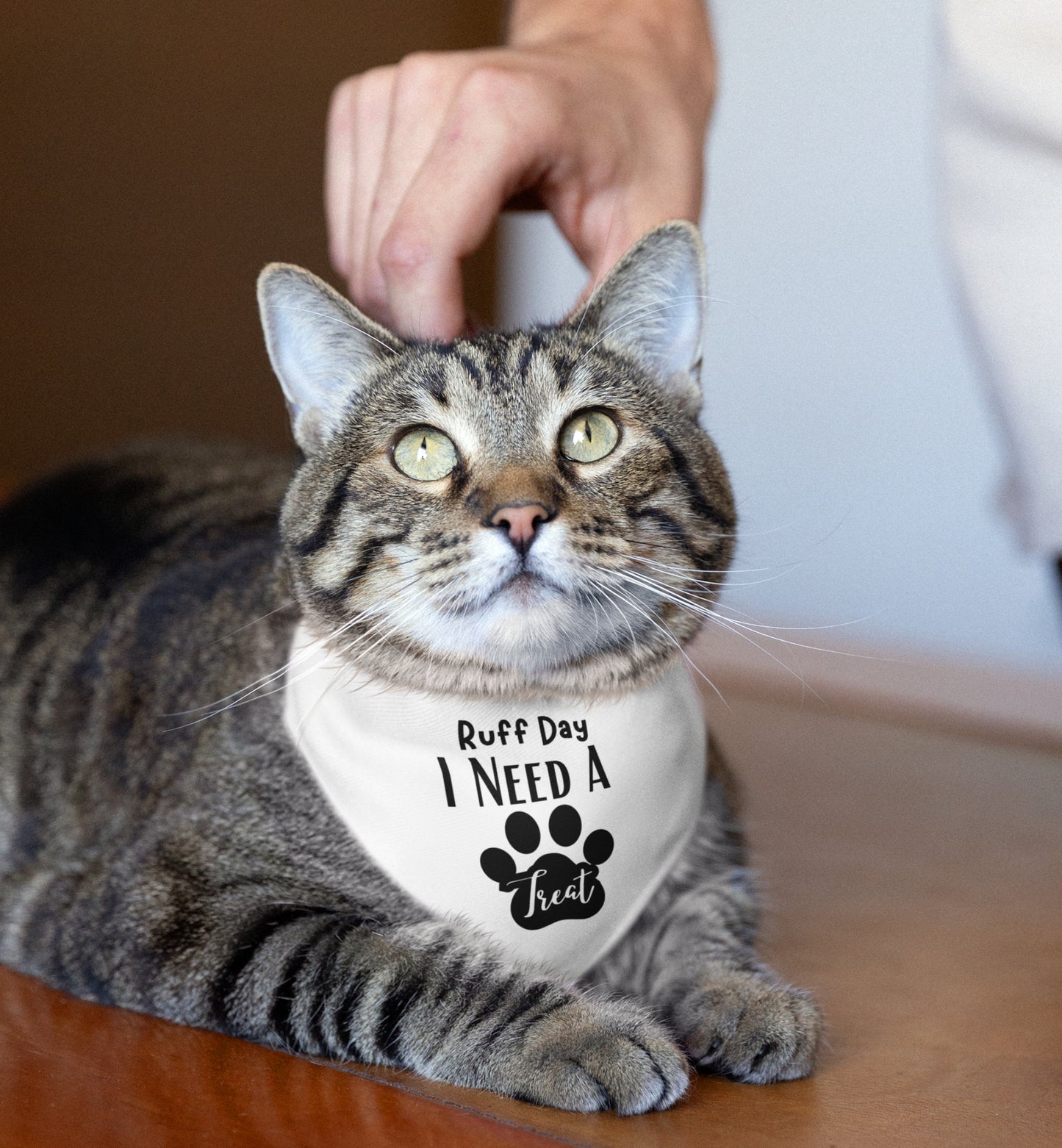 Pet Bandana Collar