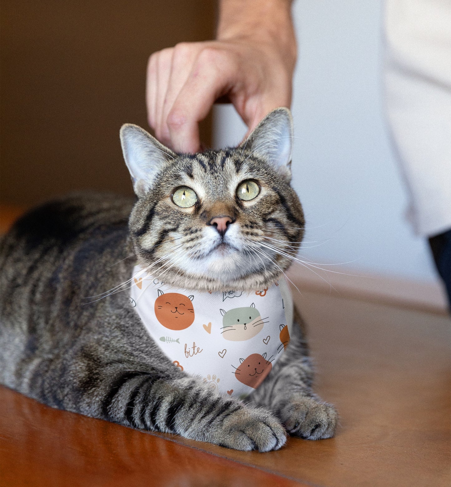 Pet Bandana Collar