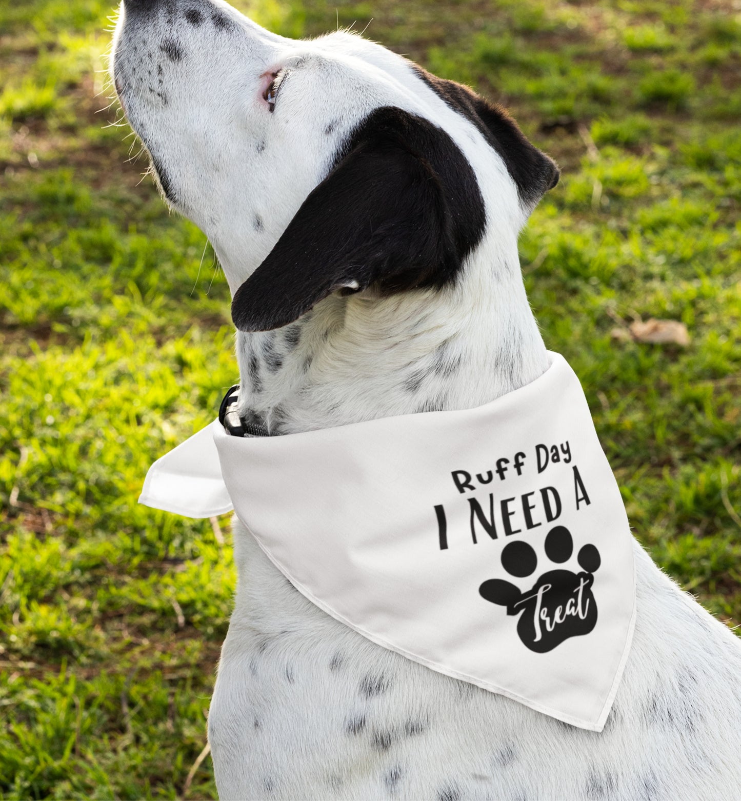 Pet Bandana Collar