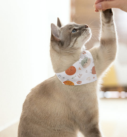 Pet Bandana Collar