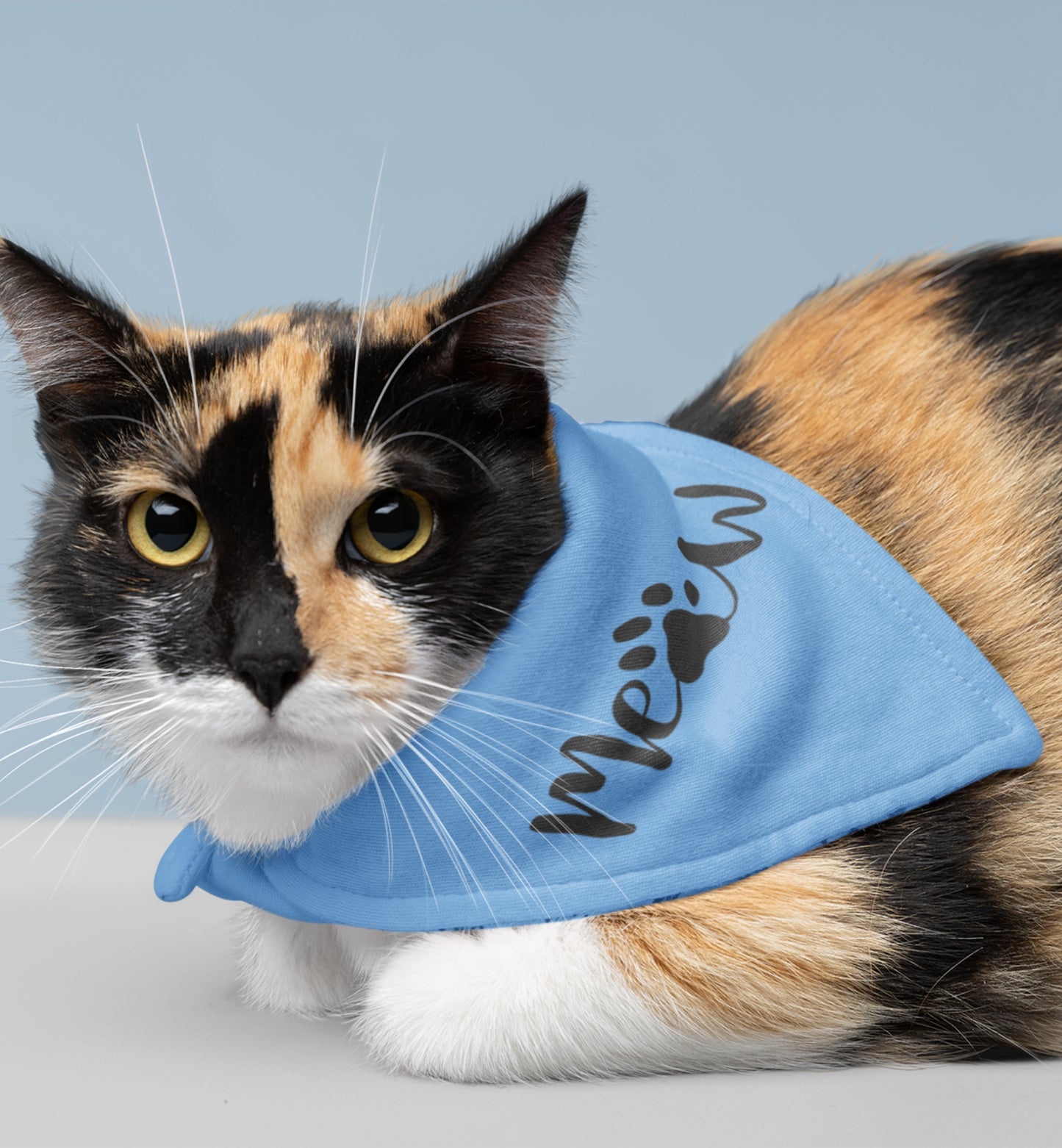 Pet Bandana Collar