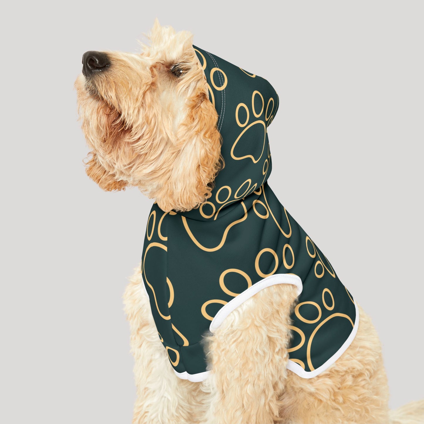 Pet Hoodie