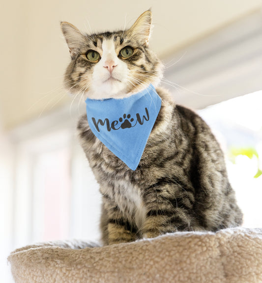 Pet Bandana Collar