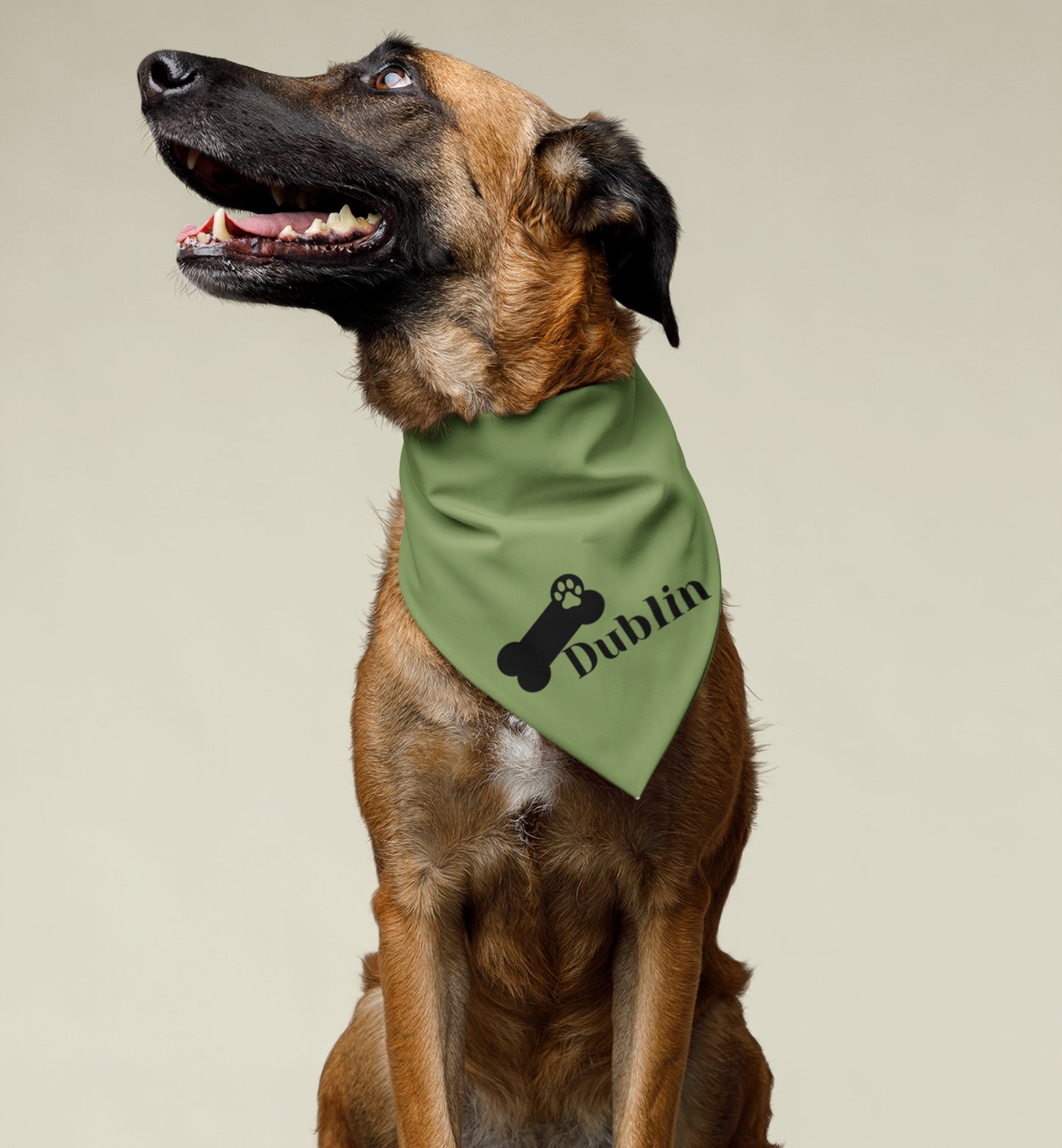 Pet Bandana Personalized