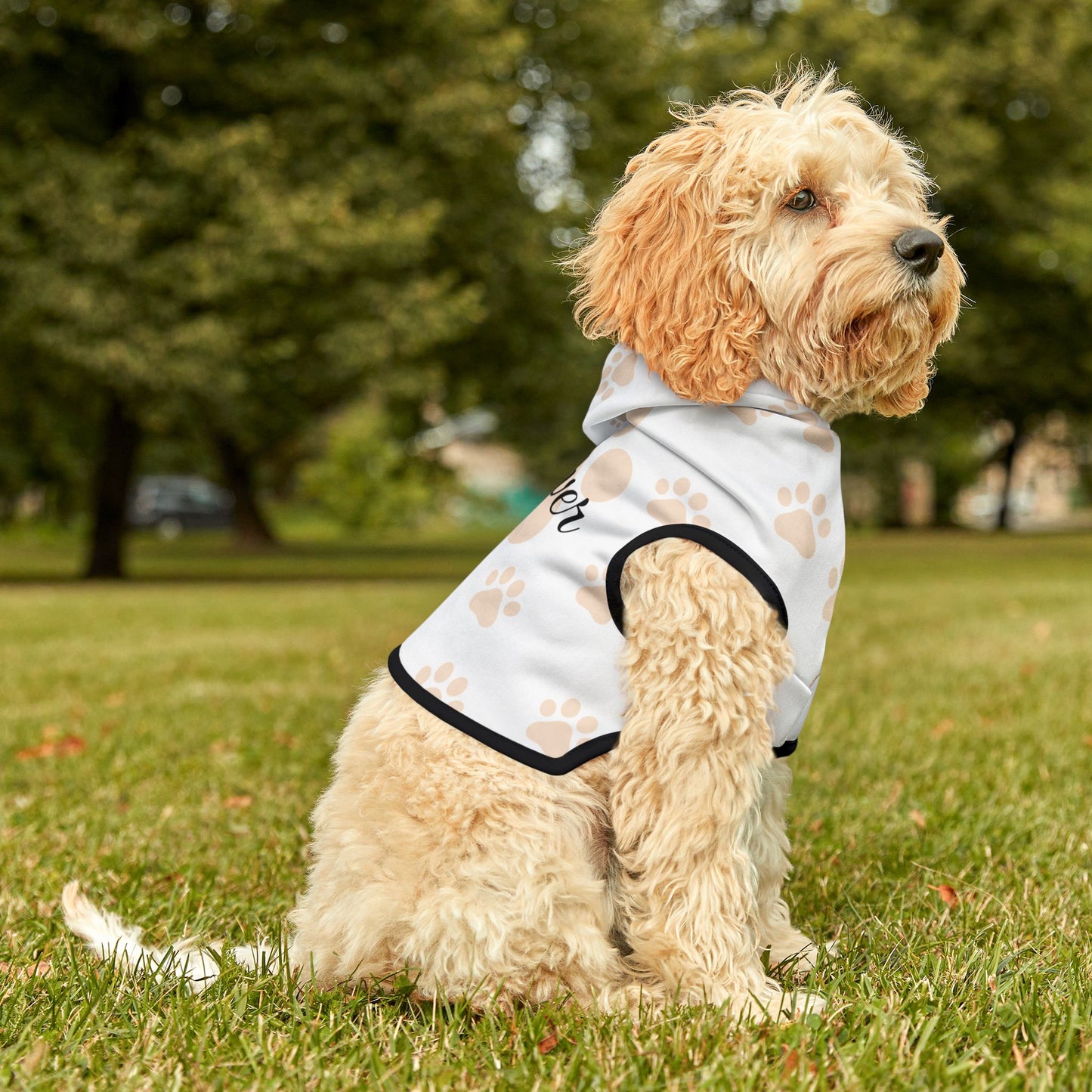 Personalized Name Pet Hoodie