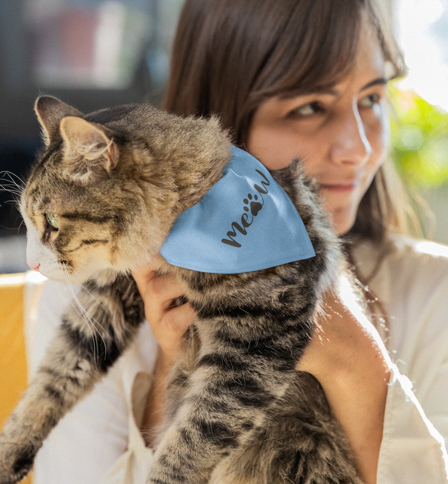 Pet Bandana Collar