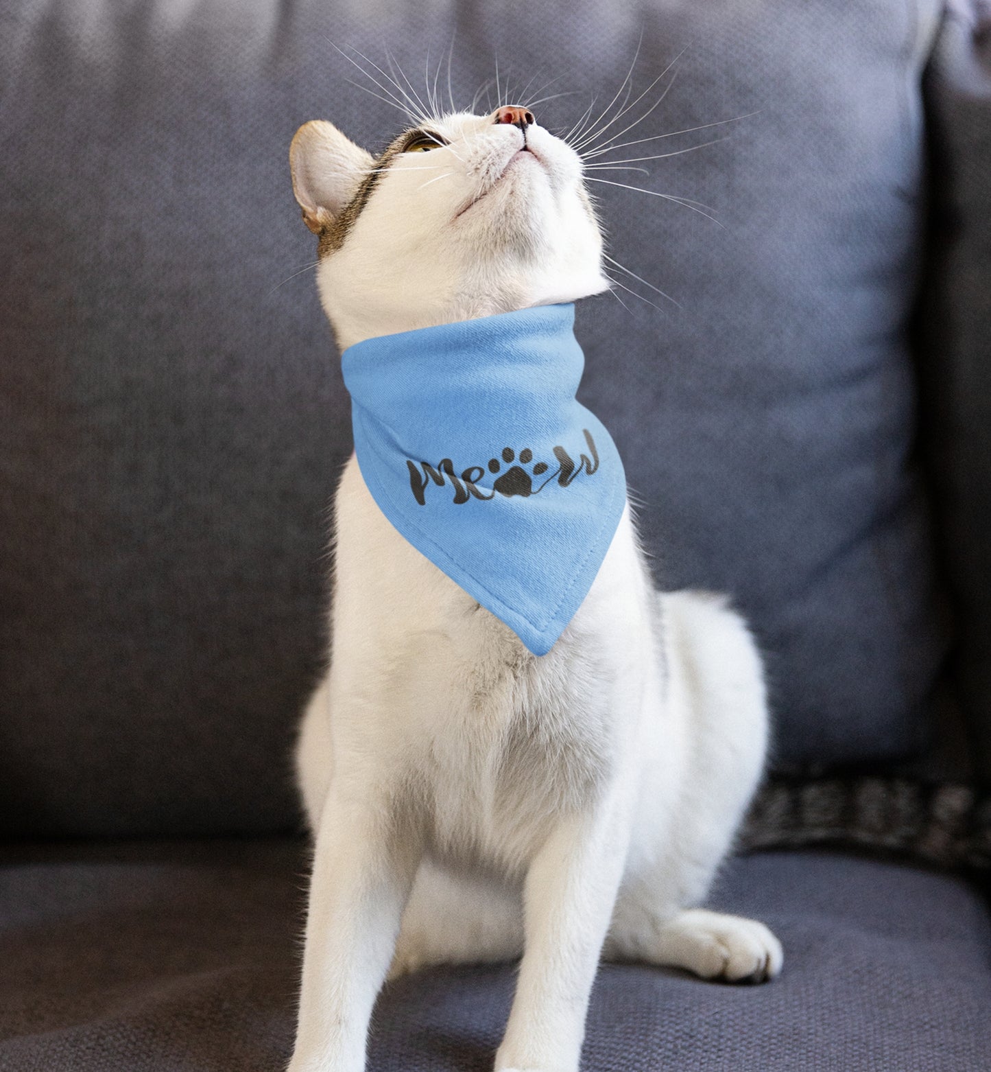 Pet Bandana Collar