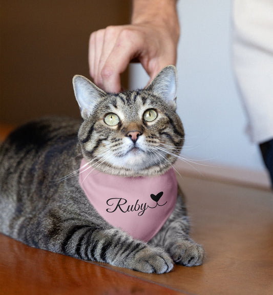 Pet Bandana Personalized