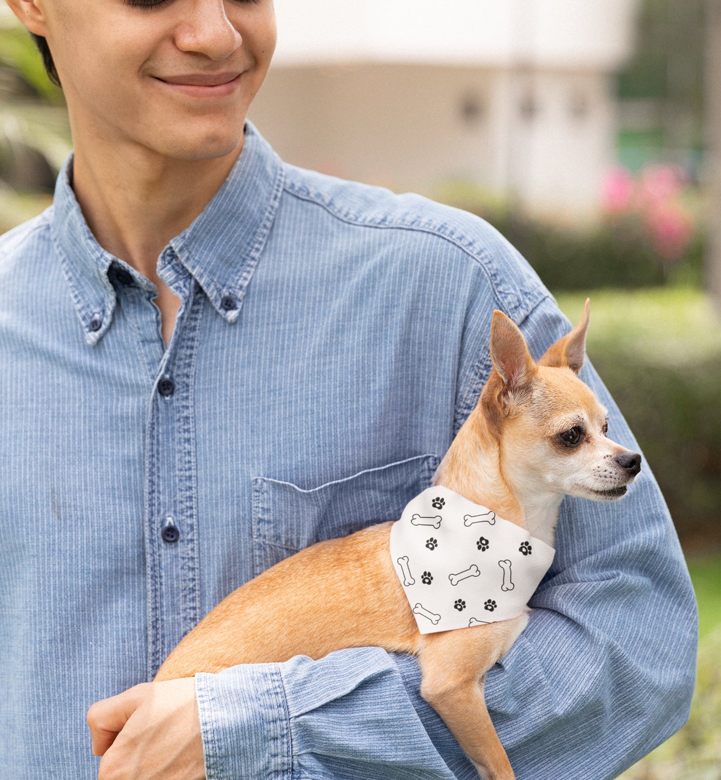 Pet Bandana Collar
