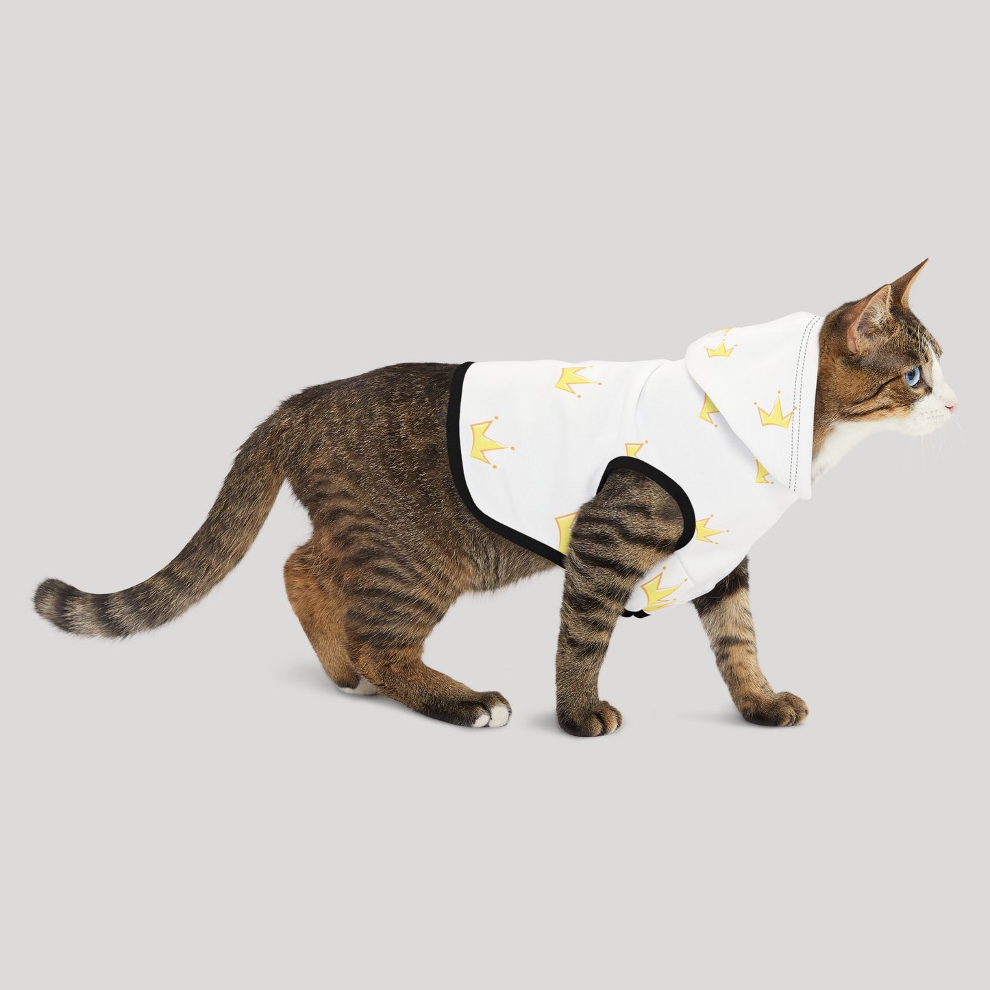 Pet Hoodie