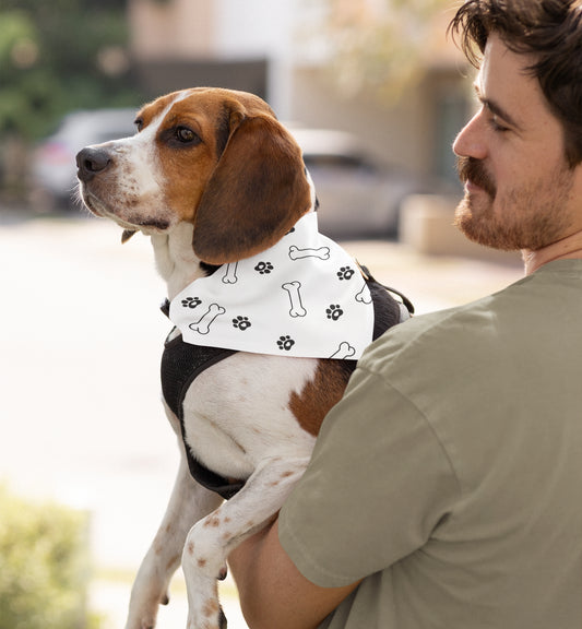 Pet Bandana Collar