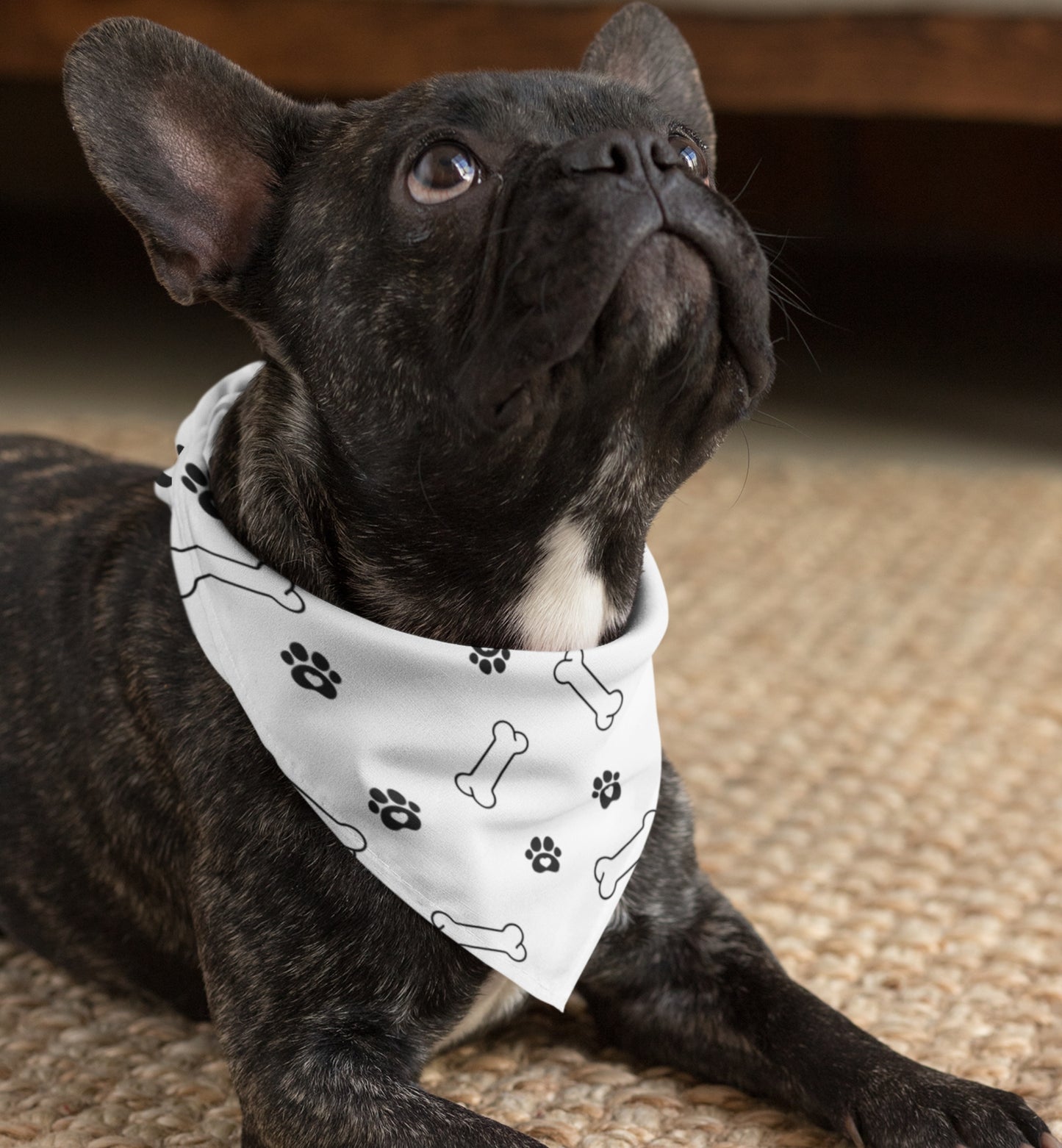 Pet Bandana Collar