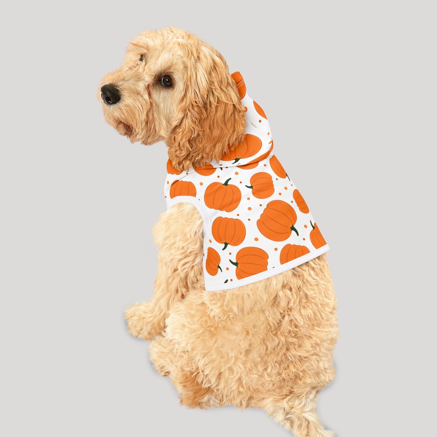 Pumpkin Pet Hoodie