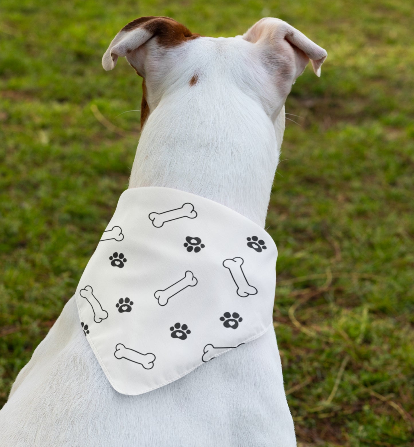 Pet Bandana Collar