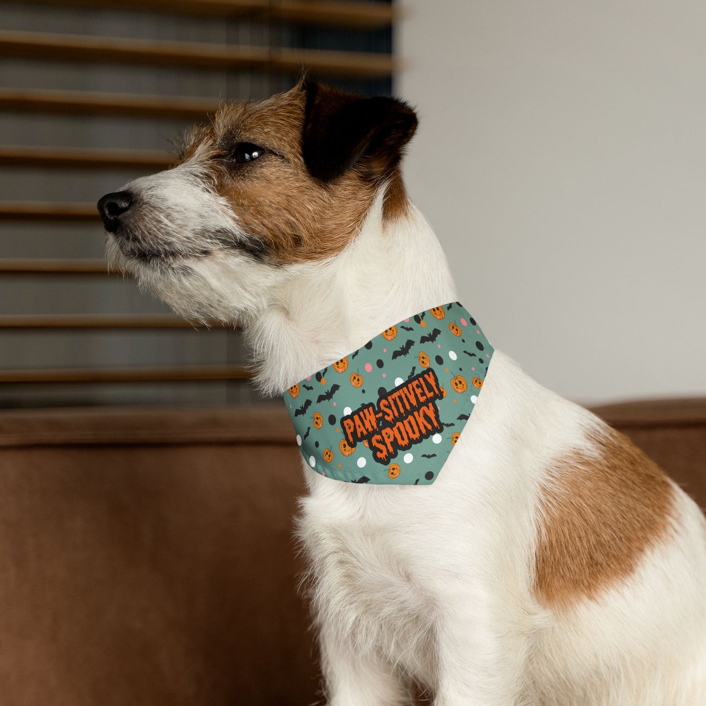 Pawsitively Spooky Bandana Collar