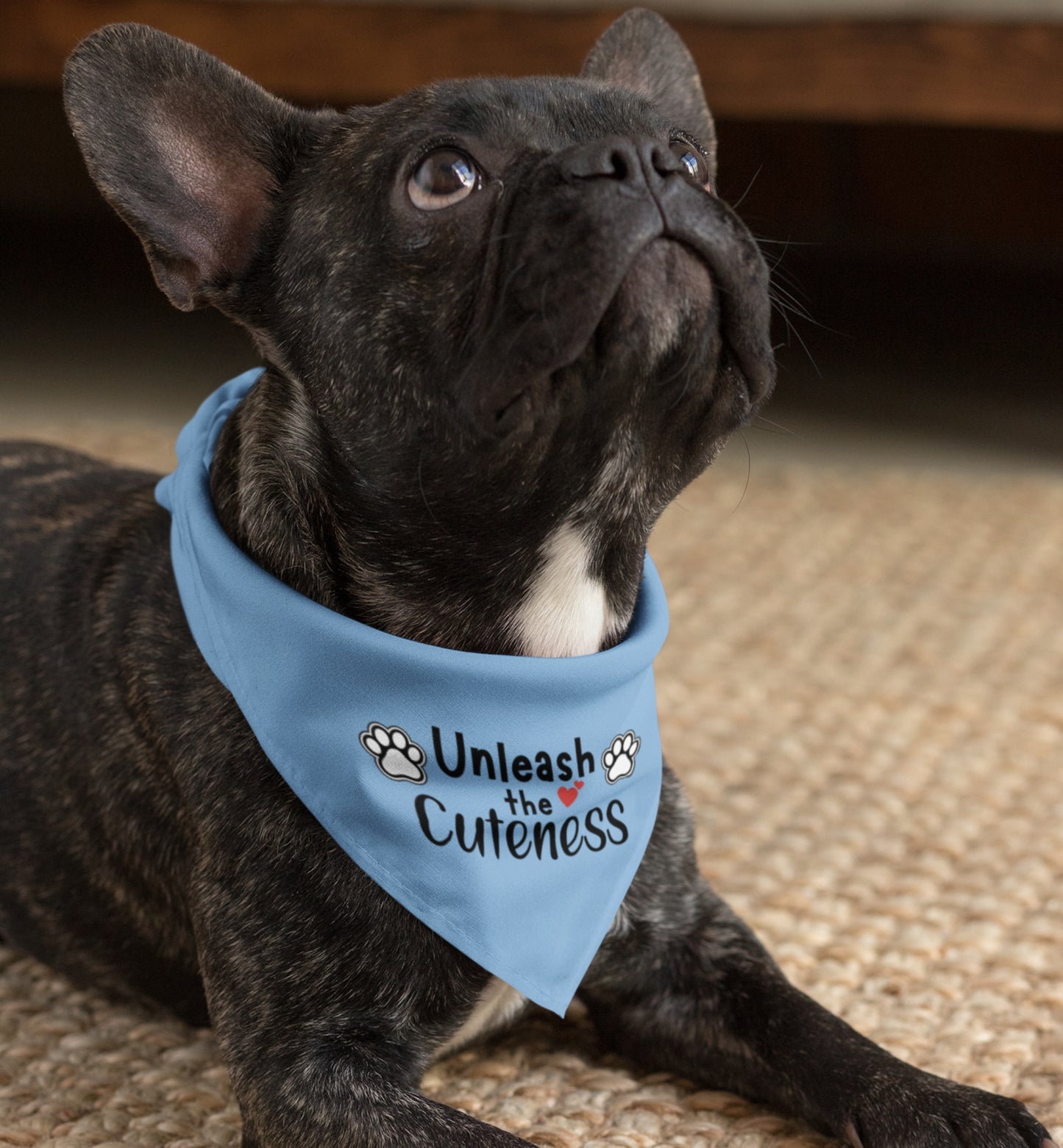 Pet Bandana Collar